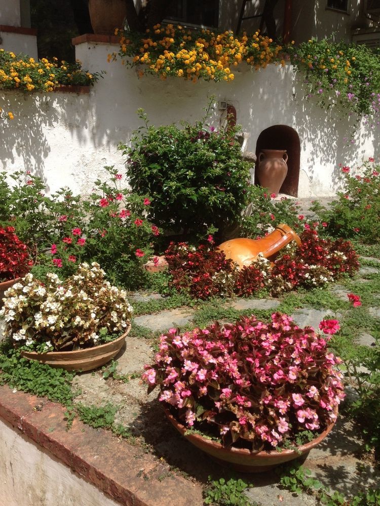 Mediterraneo Bed & Breakfast Anacapri  Buitenkant foto