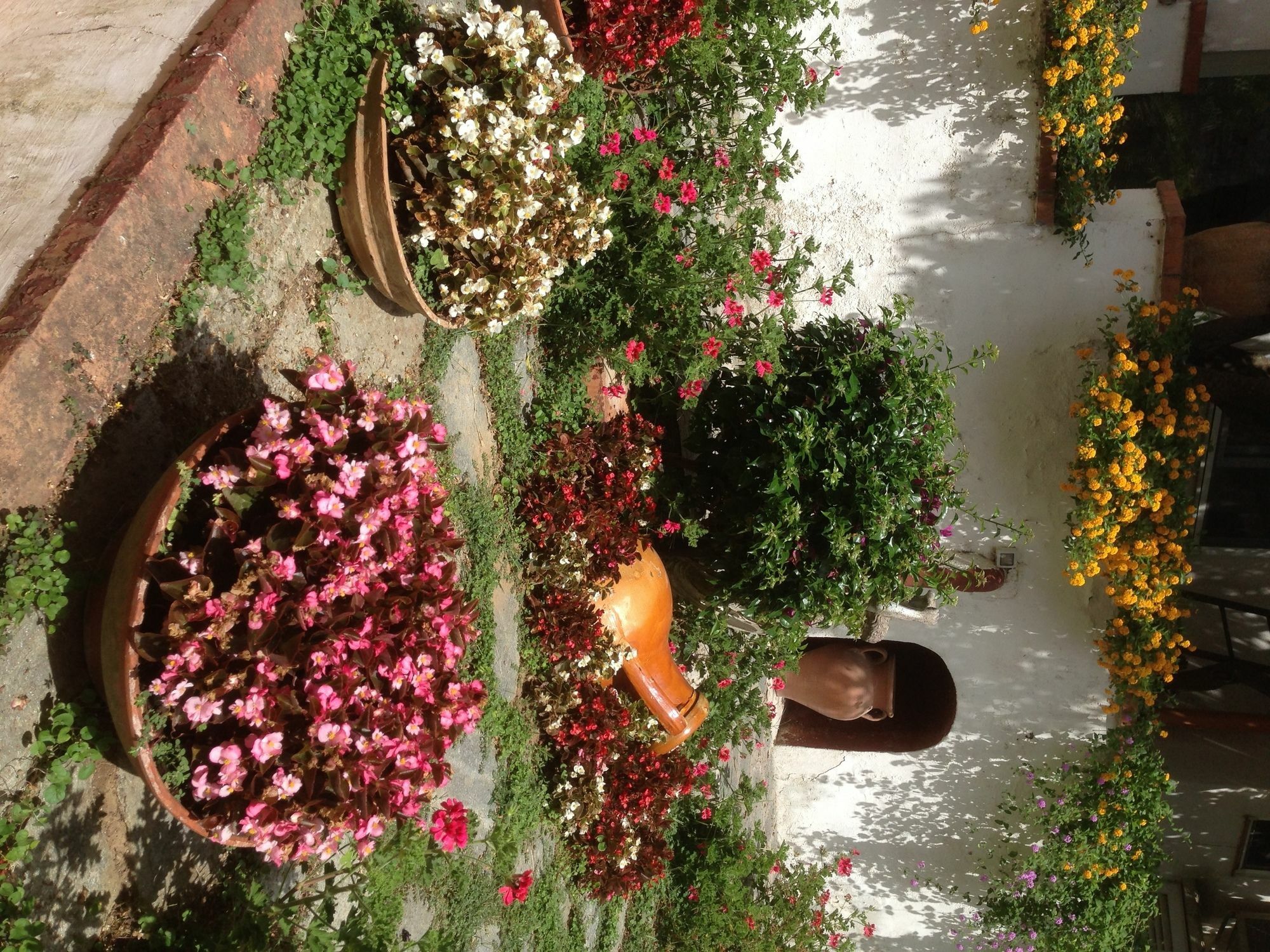 Mediterraneo Bed & Breakfast Anacapri  Buitenkant foto