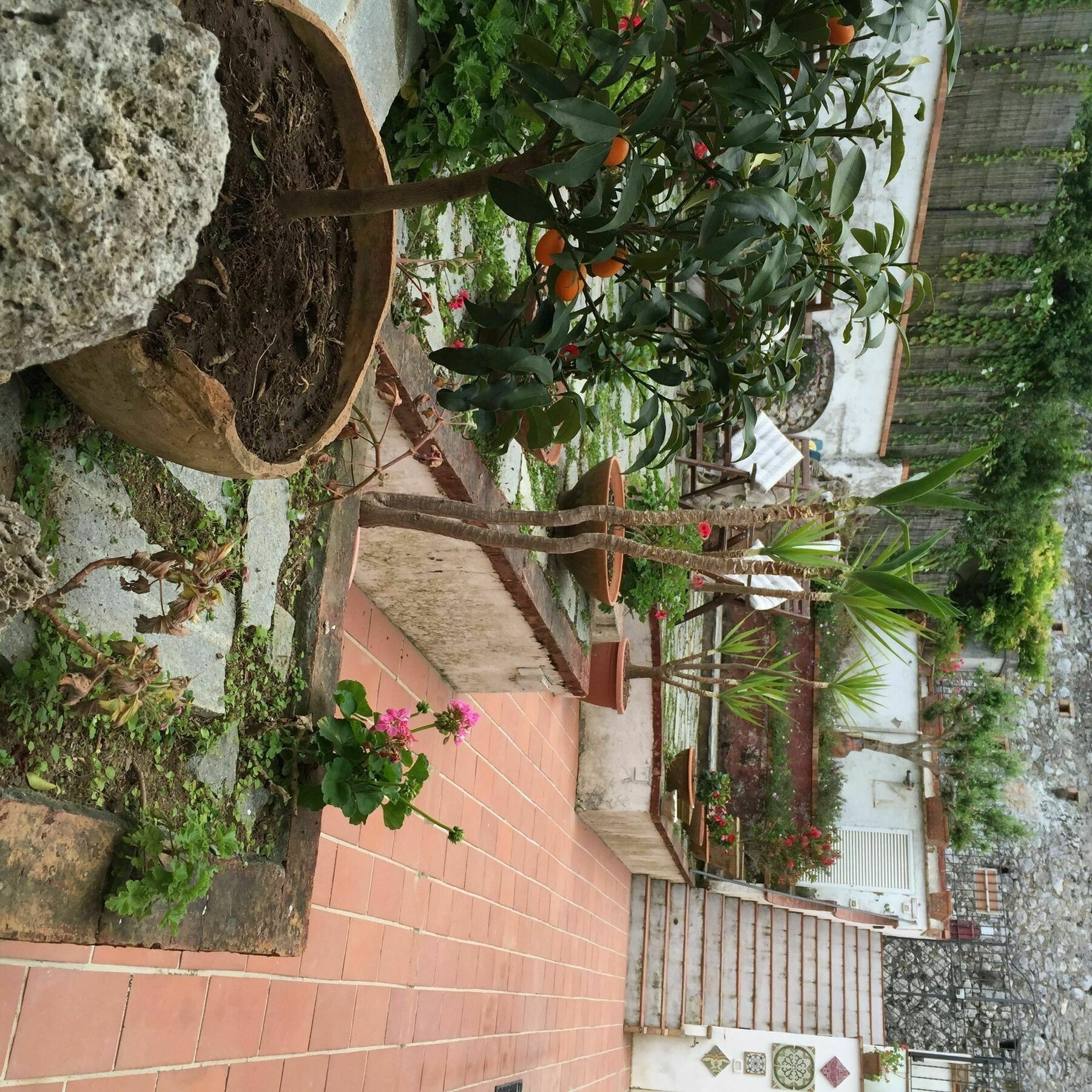 Mediterraneo Bed & Breakfast Anacapri  Buitenkant foto