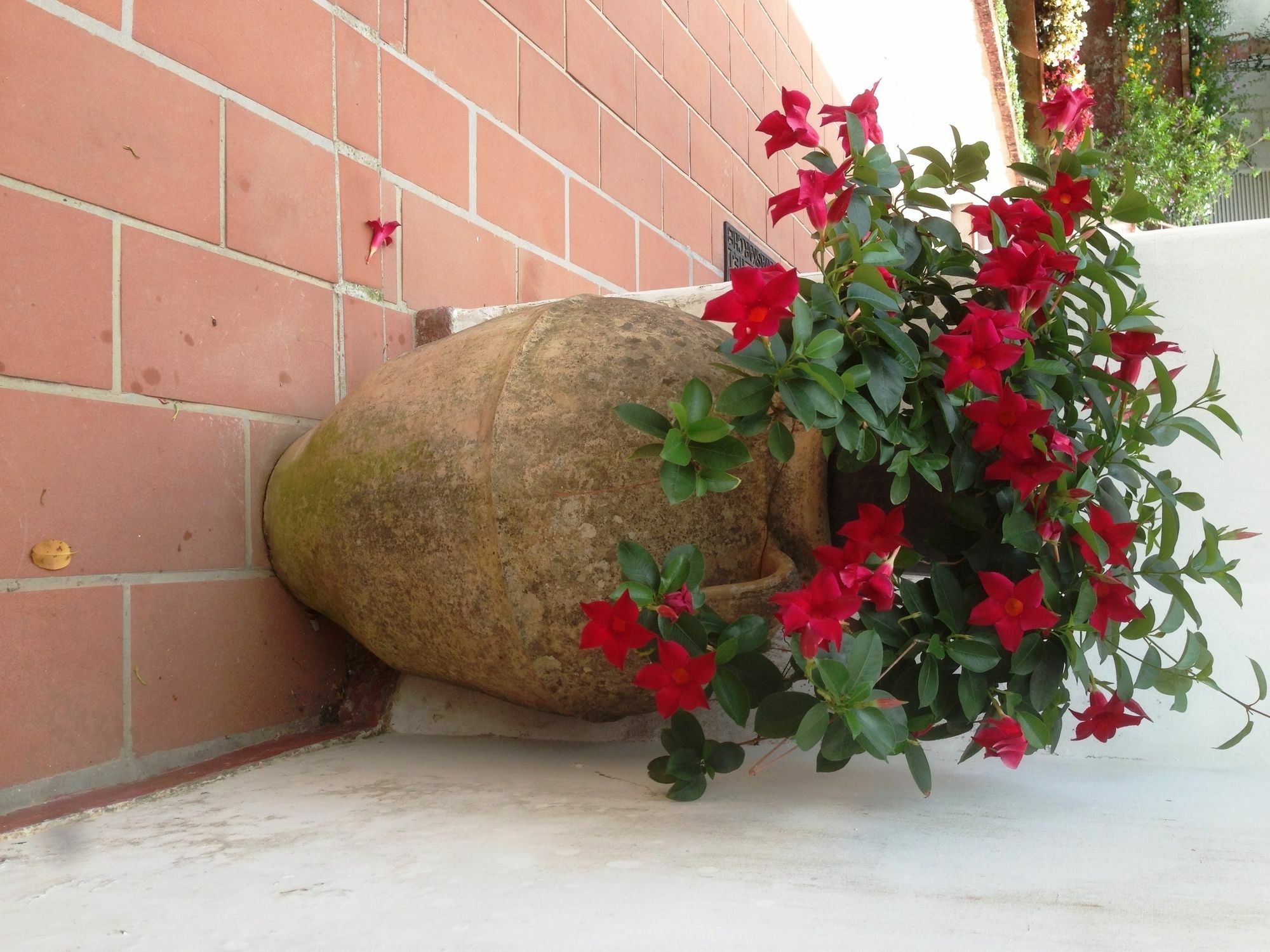 Mediterraneo Bed & Breakfast Anacapri  Buitenkant foto